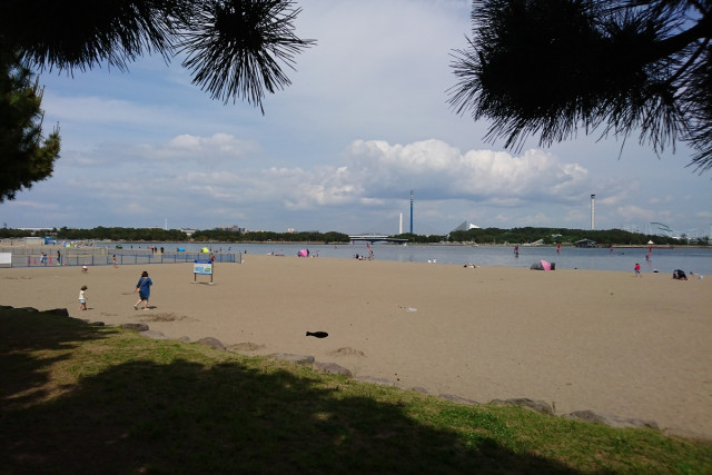 海の公園